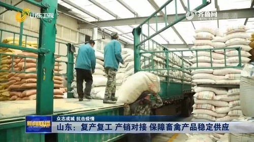 2月26日鴨苗毛鴨市場觀察 計劃爆單下的價格異動與產業隱憂