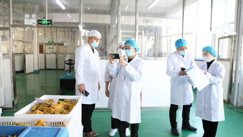 大連自貿片區創新食品生產加工5G+AR智慧監管新模式，筑牢安全防線